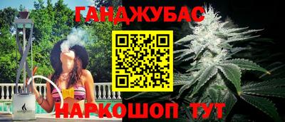 индика Пугачёв