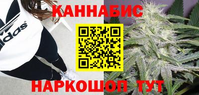 индика Пугачёв