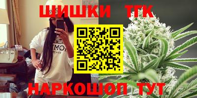 индика Пугачёв