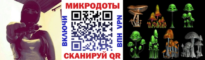 Псилоцибиновые грибы Psilocybe  Нижнеудинск 