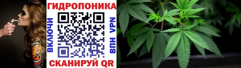 Канабис Bruce Banner  блэк спрут как зайти  Нижнеудинск  маркетплейс какой сайт  наркота 